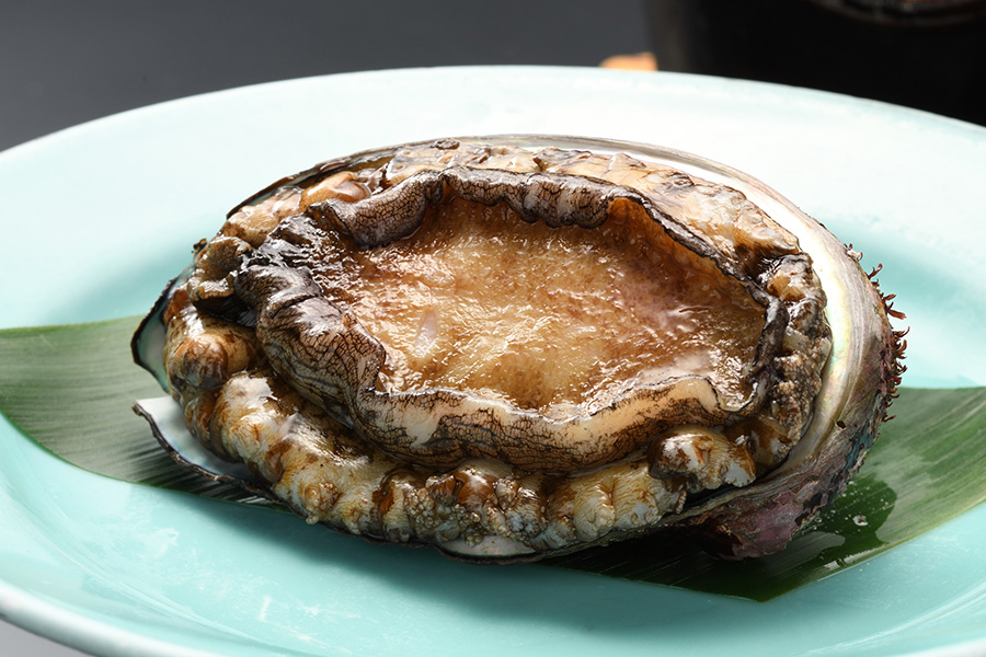 料理と旬の魚